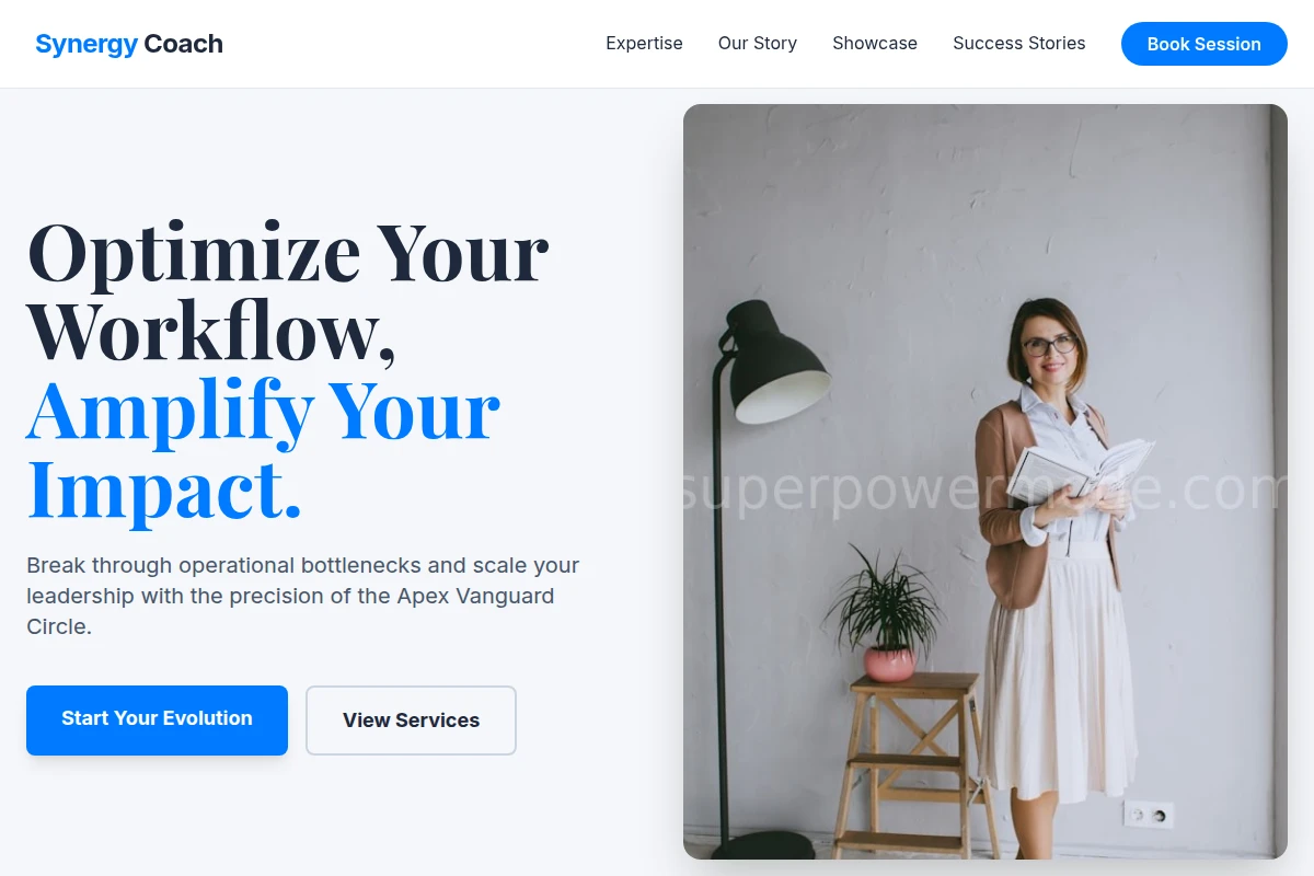 Synergy Business Coach