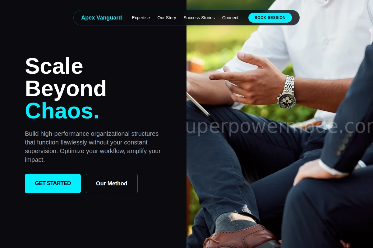 Systemic Business Coach