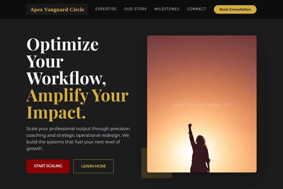 Nexus Business Coach